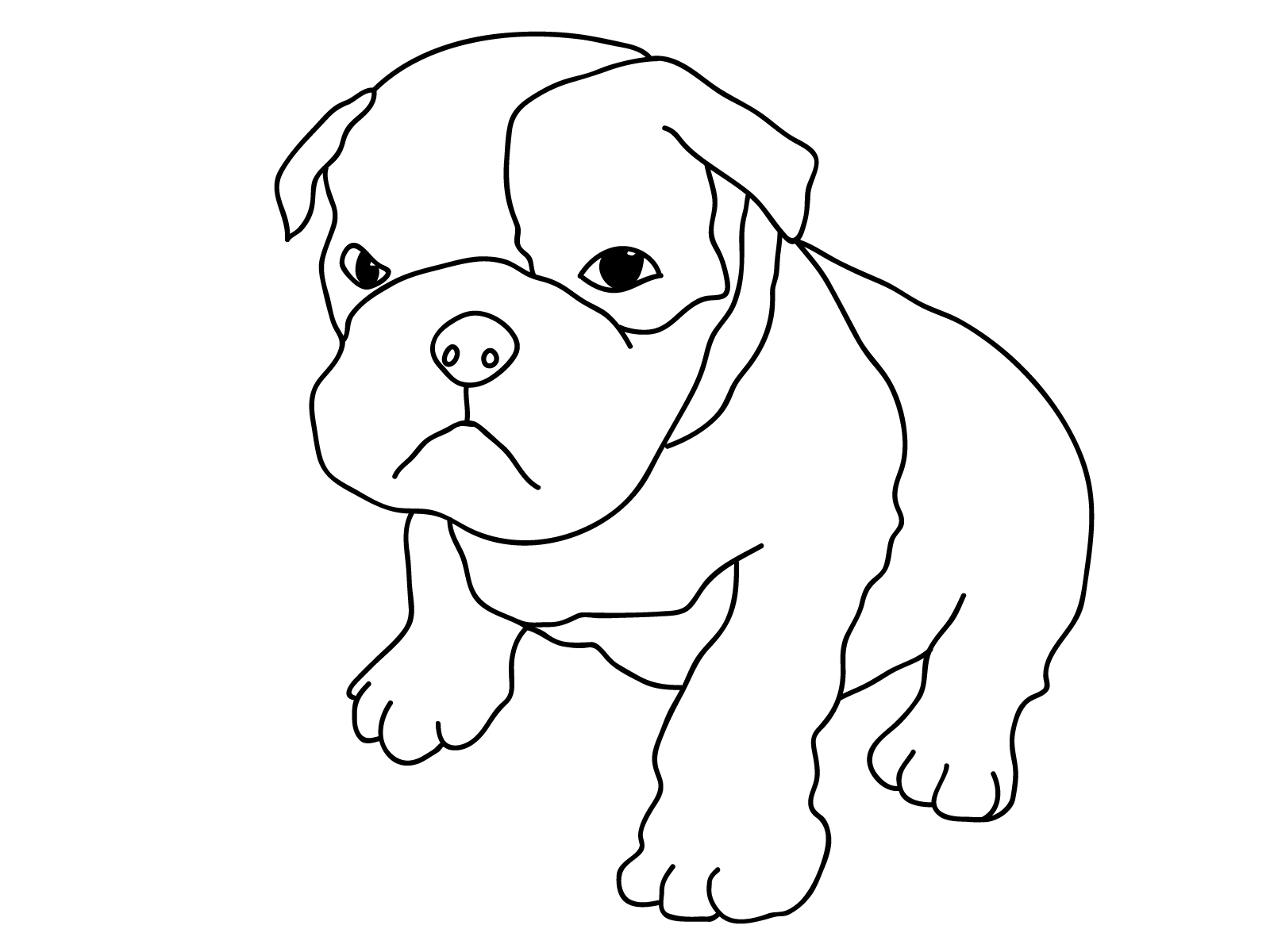 Pitbull coloring pages