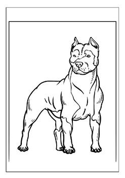 Explore your creativity with our printable pitbull coloring pages for kids pdf