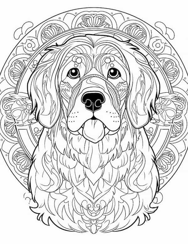 Dog coloring pages for kids and adults