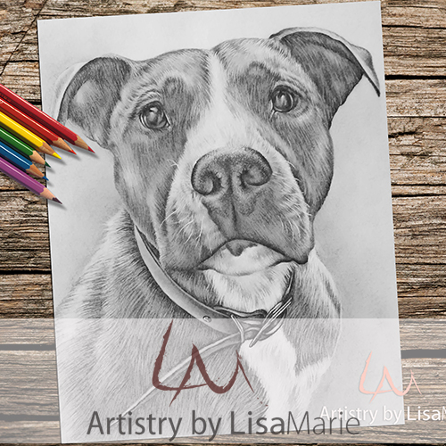 Pit bull portrait dog coloring book page â artistry by lisa marie