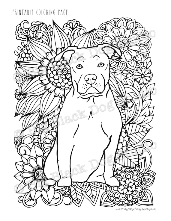 Pitbull coloring page digital download pibble pittie staffy amstaff staffie