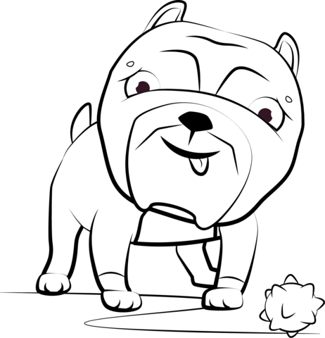 American pitbull puppy coloring page free printable coloring pages