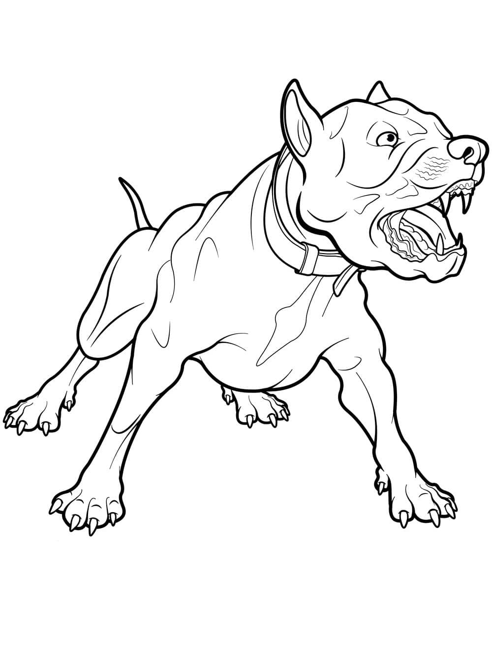 Angry pitbull dog coloring page