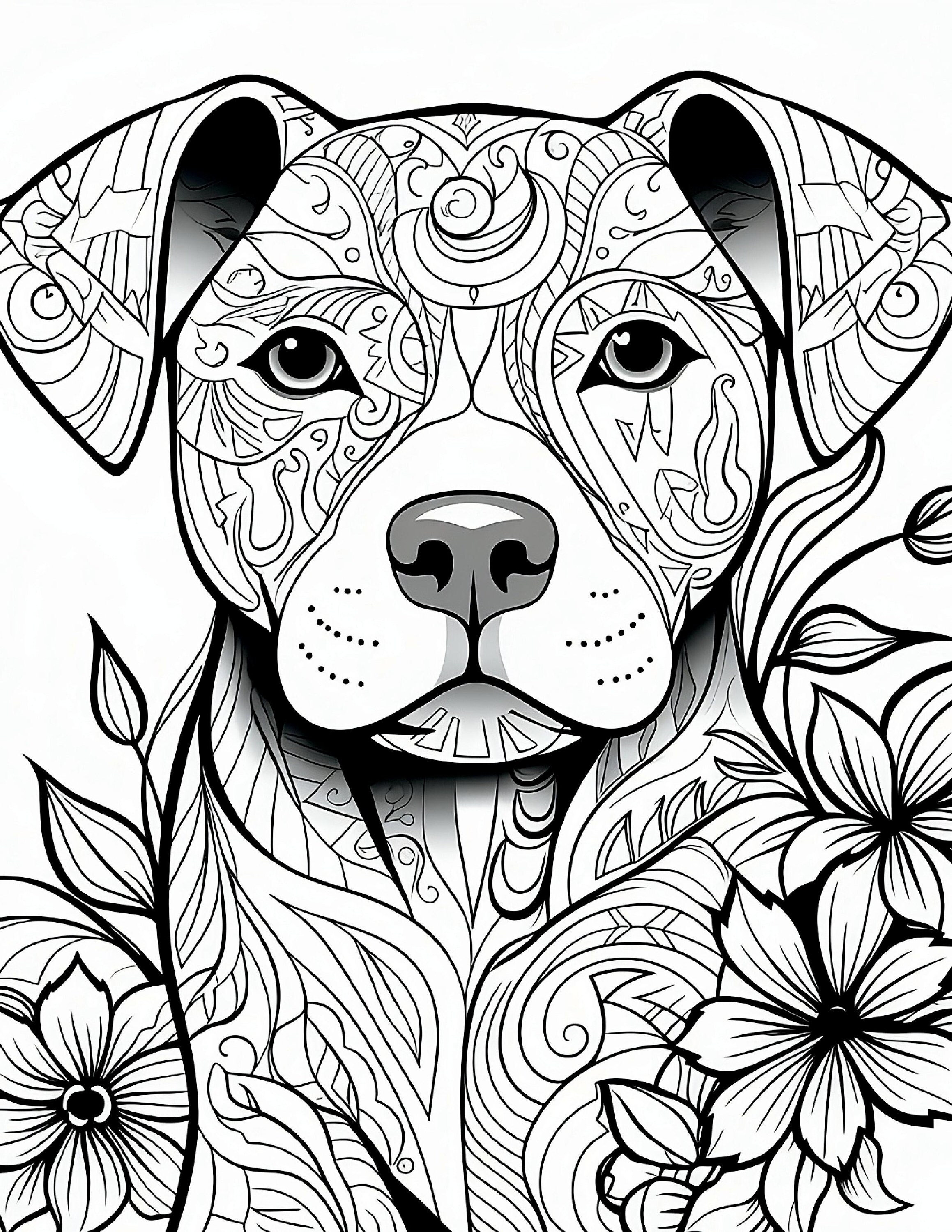 Pitbull coloring