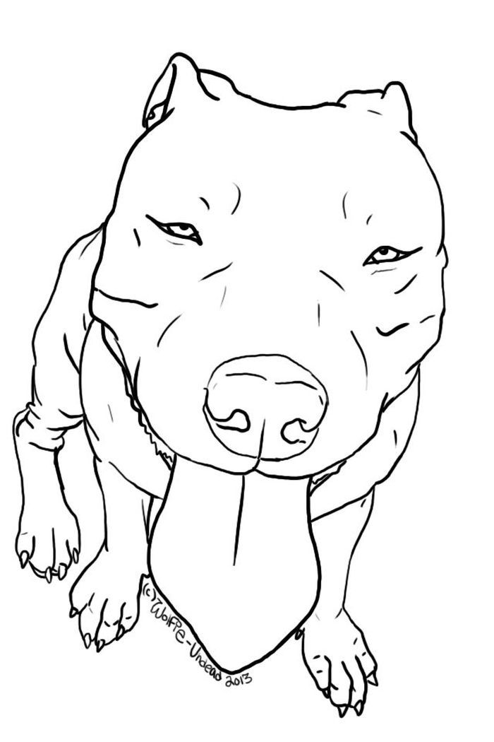 Pin on animal coloring pages