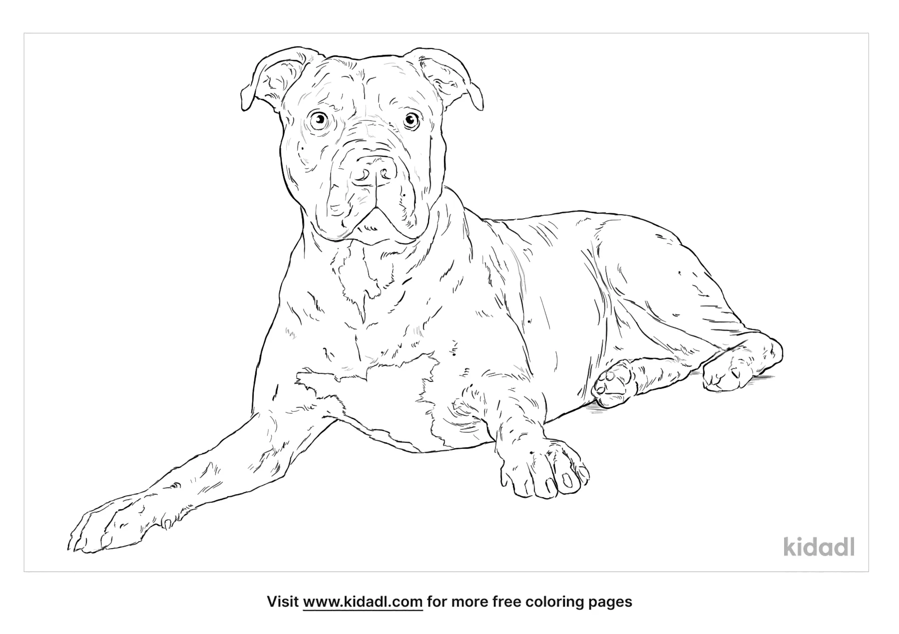 Free red nose pitbull coloring page coloring page printables