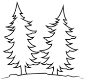 Pine trees coloring pages free coloring pages