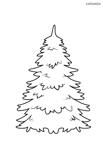 Pinetree coloring pages free printable pinetree coloring sheets