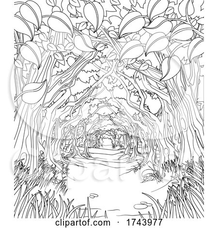 Woodland forest trees path coloring book scene by atstockillustration