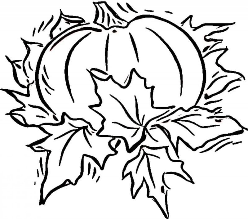 Simple pumpkin coloring page