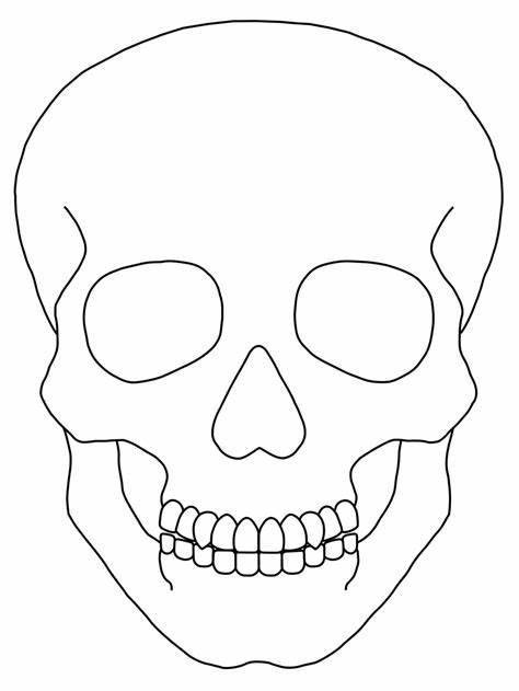 Blank sugar skull template