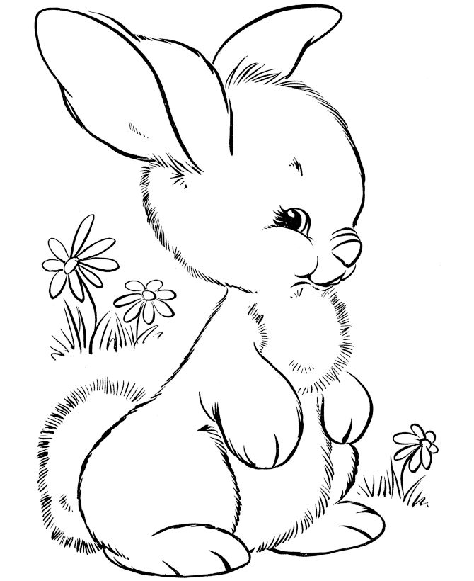 Cute easter bunny drawing easter bunny colouring animal coloring pages cute coloring pages