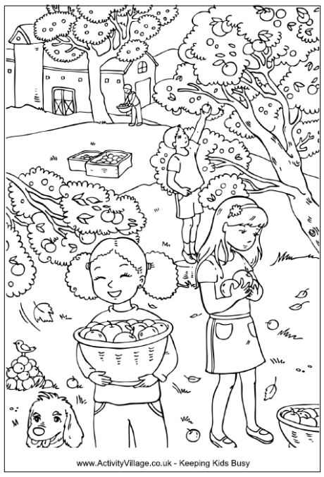 Fun apple picking loring page