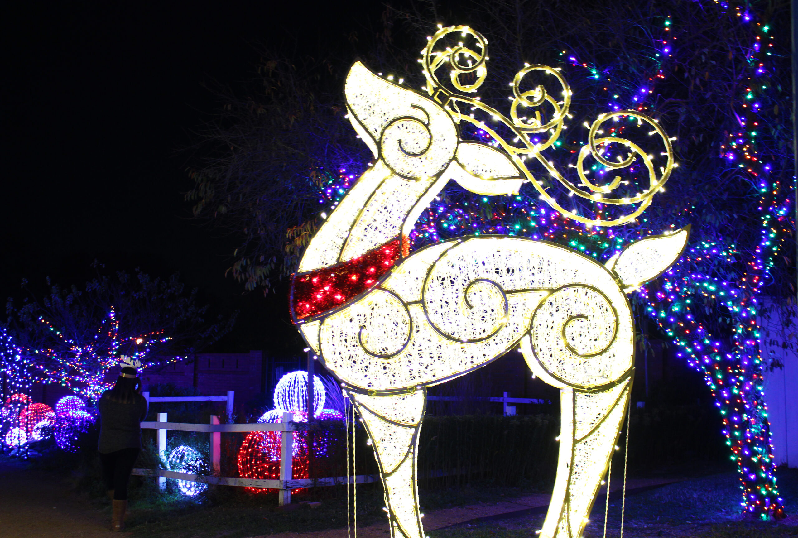 Plano tx holiday event guide plano insider