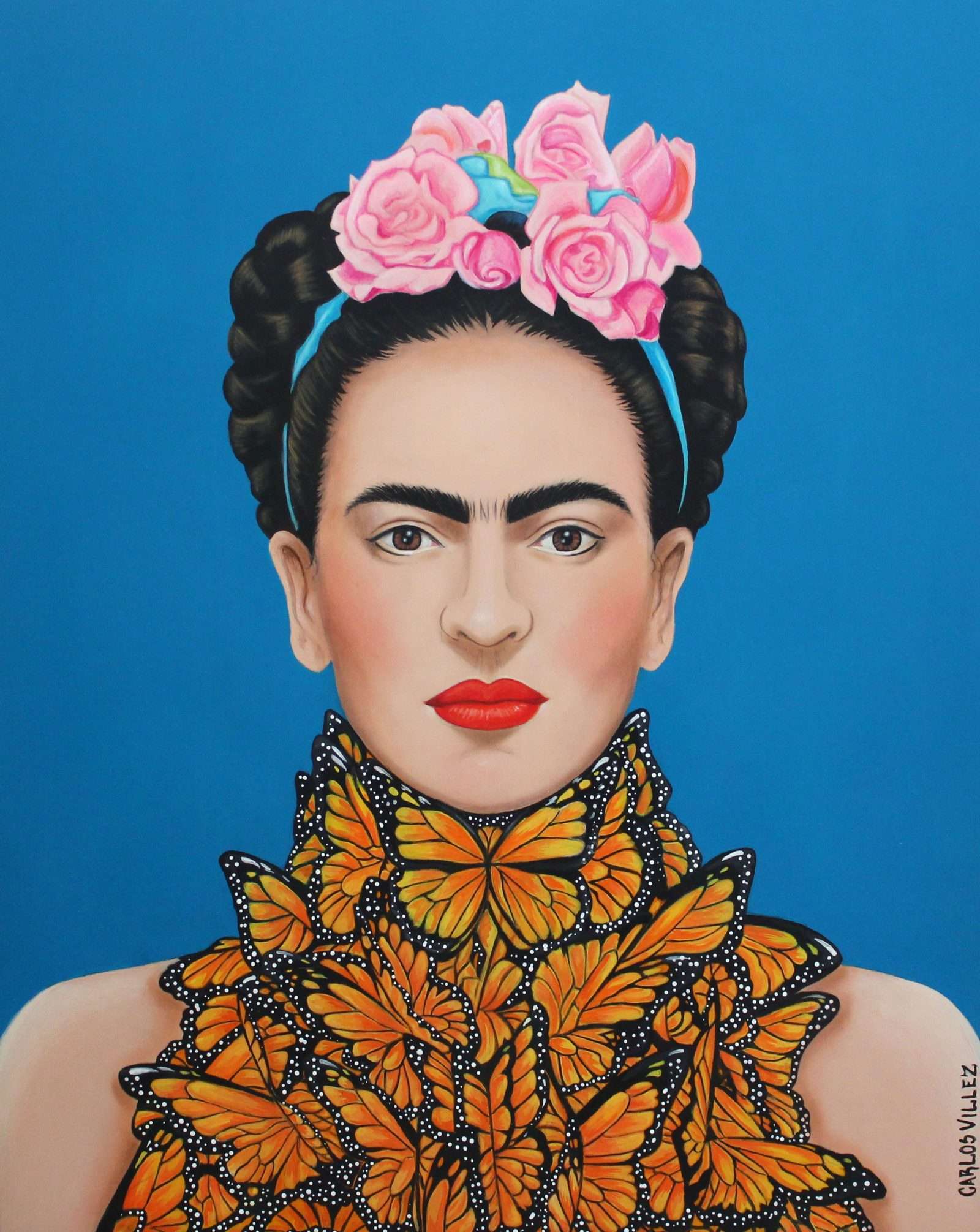 The world of frida