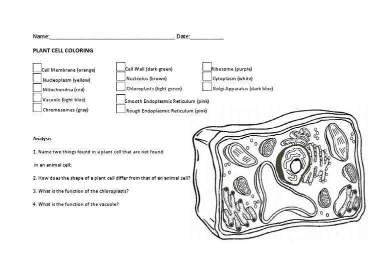 Plant coloring cell structures cell organisation pdf