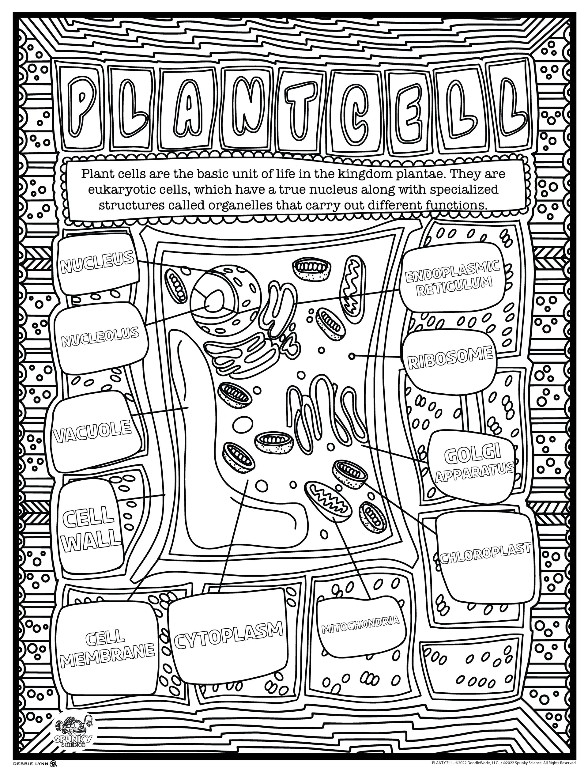 Plant cells spunky science personalized giant coloring poster x â debbie lynn