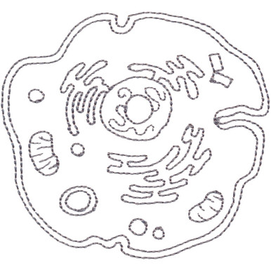 Animal cell diagram