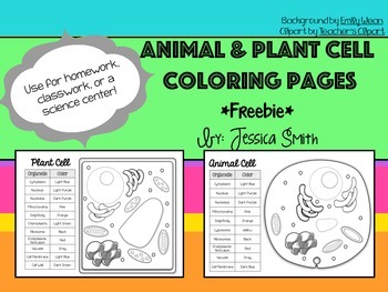 Animal and plant cell match and color pages freebie by smith science and lit