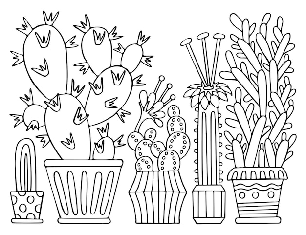 Premium vector coloring page indoor cacti flowers in pots in doodle style home plants hand drawn line vector illustration art therapy coloring book