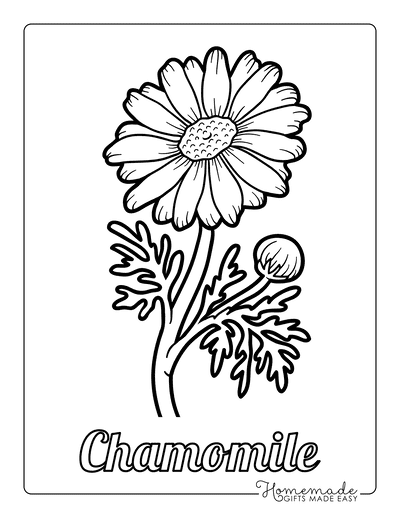 Free flower coloring pages for kids adults