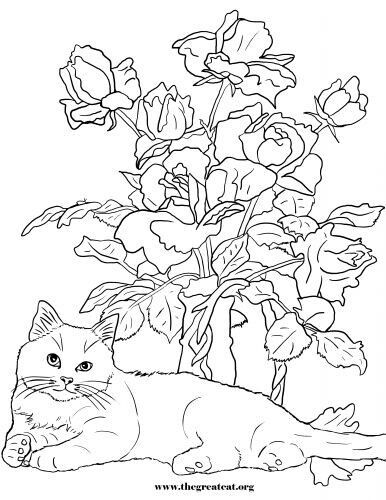 Pin by john johnson on coloring pgs cat coloring book cat coloring page animal coloring pages