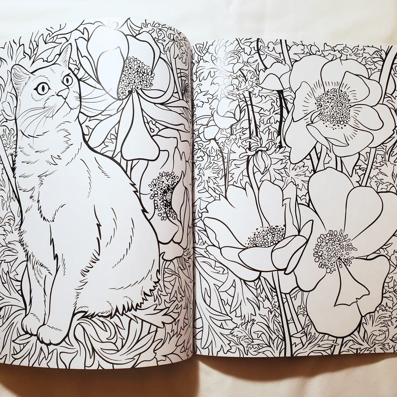 Cats plants coloring book â