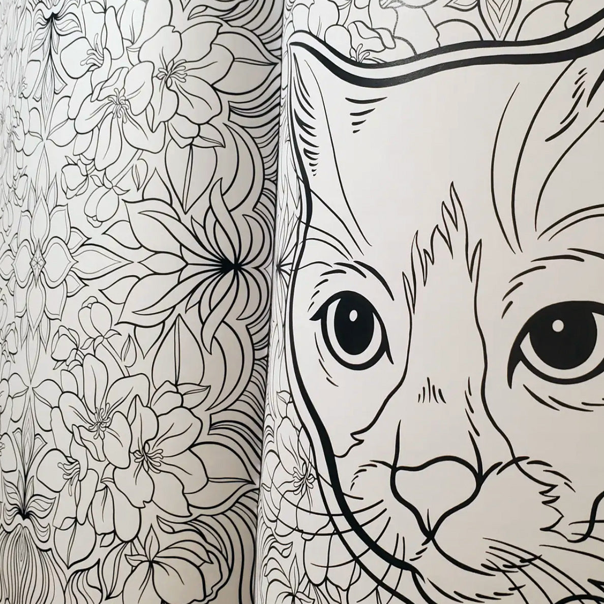 Cats plants coloring book â