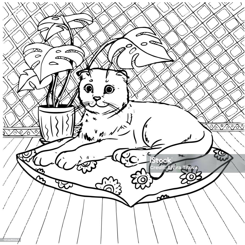 Coloring book a domestic cat lies on a pillow near a tropical plant the drawing is black and white contour handdrawn on a white background stock illustration