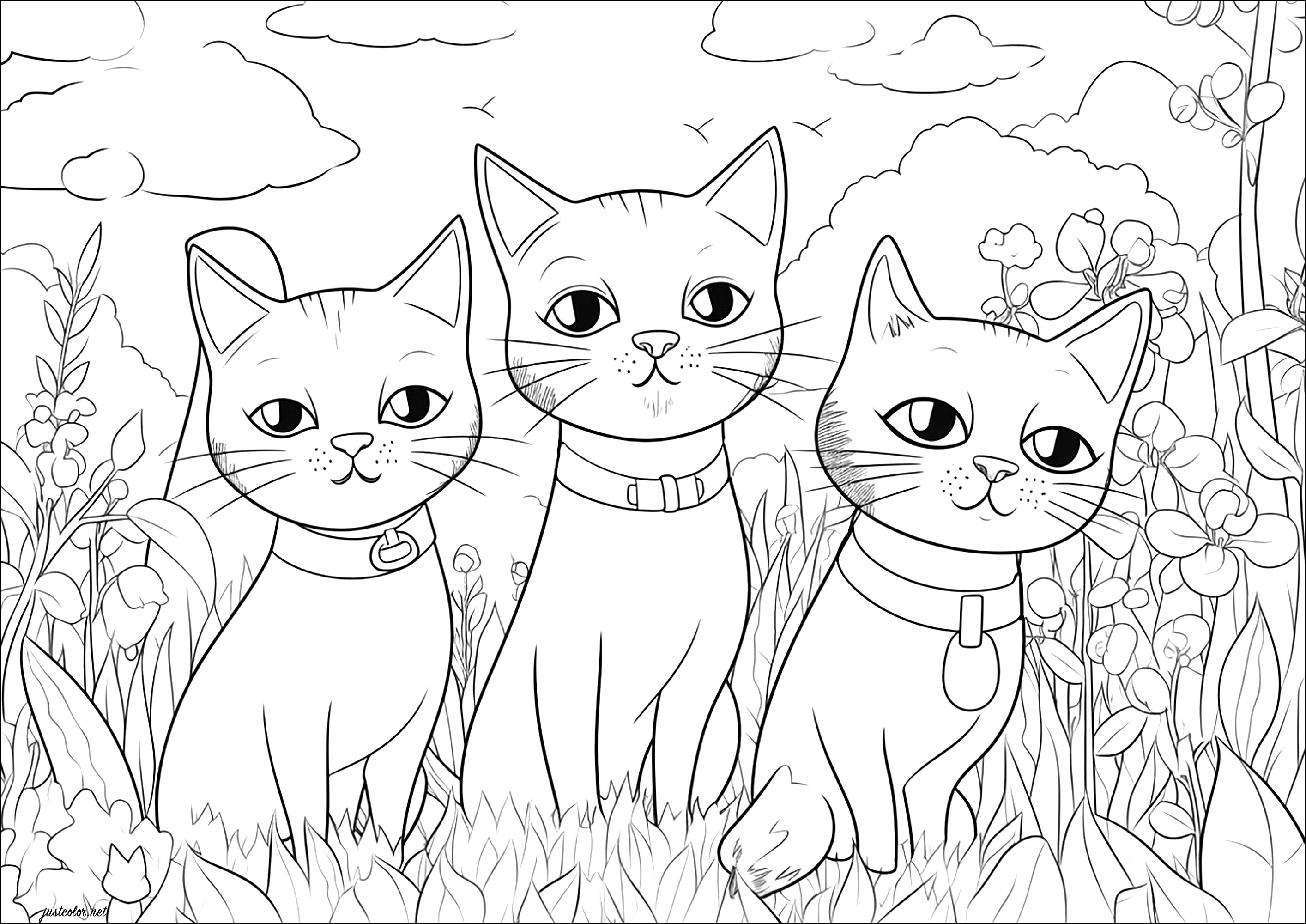 Three cats staring at you