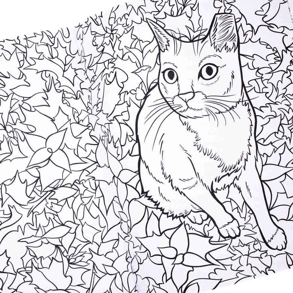 Cats and plants