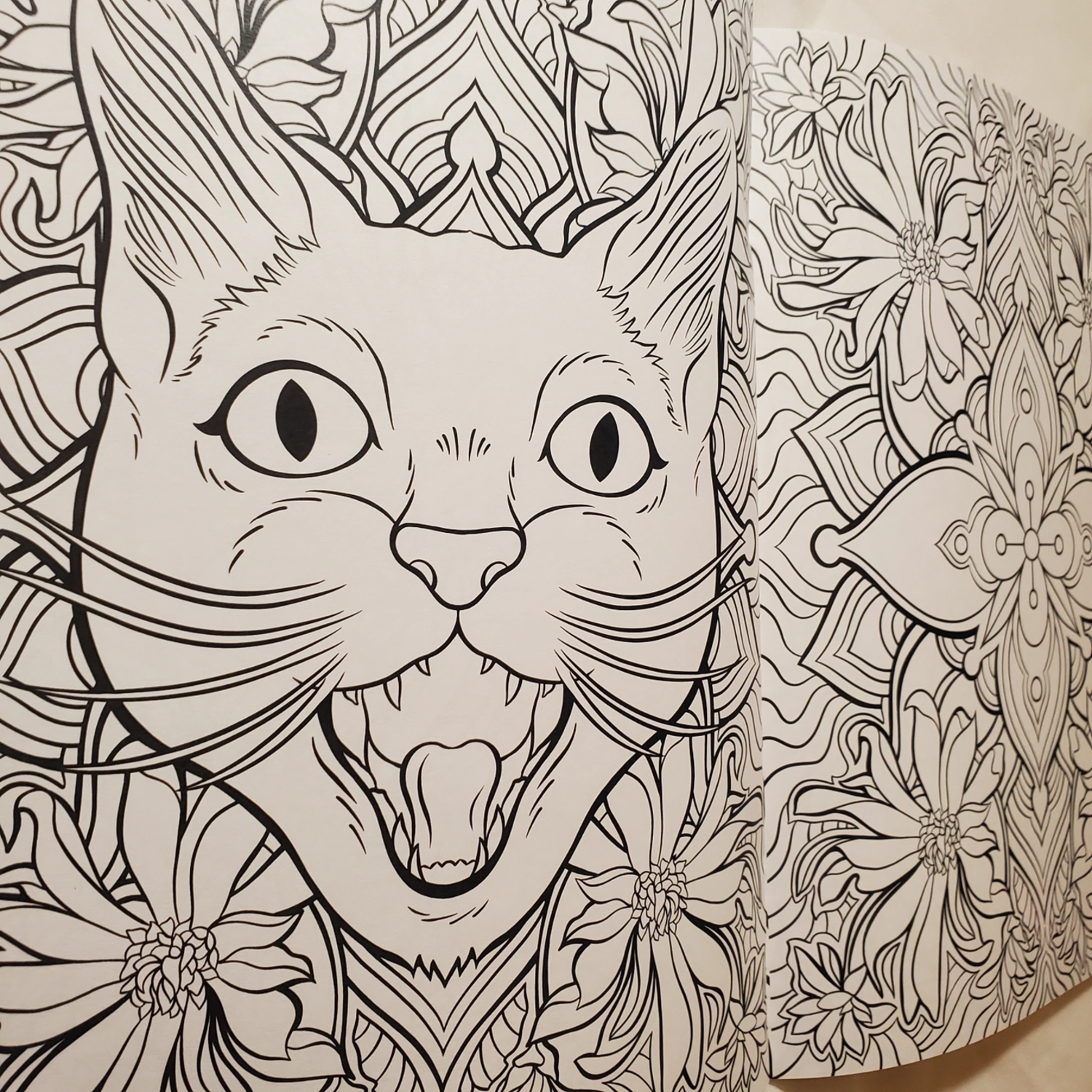 Coloring book cats plants