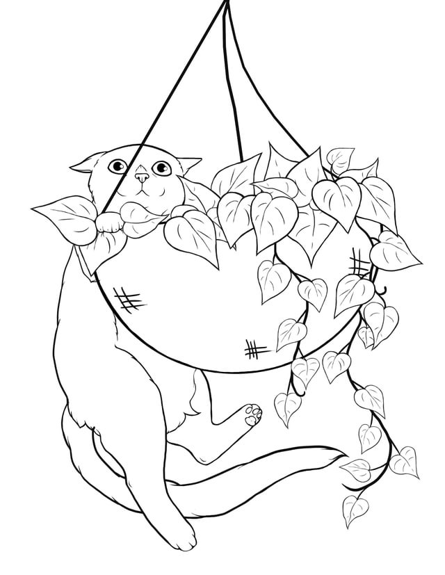 A few pages from the project im working on a cats and plants coloring book radultcoloring