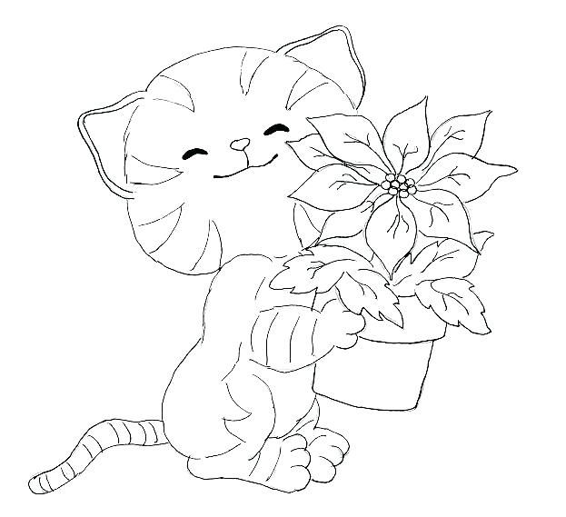 Cat coloring pages pdf