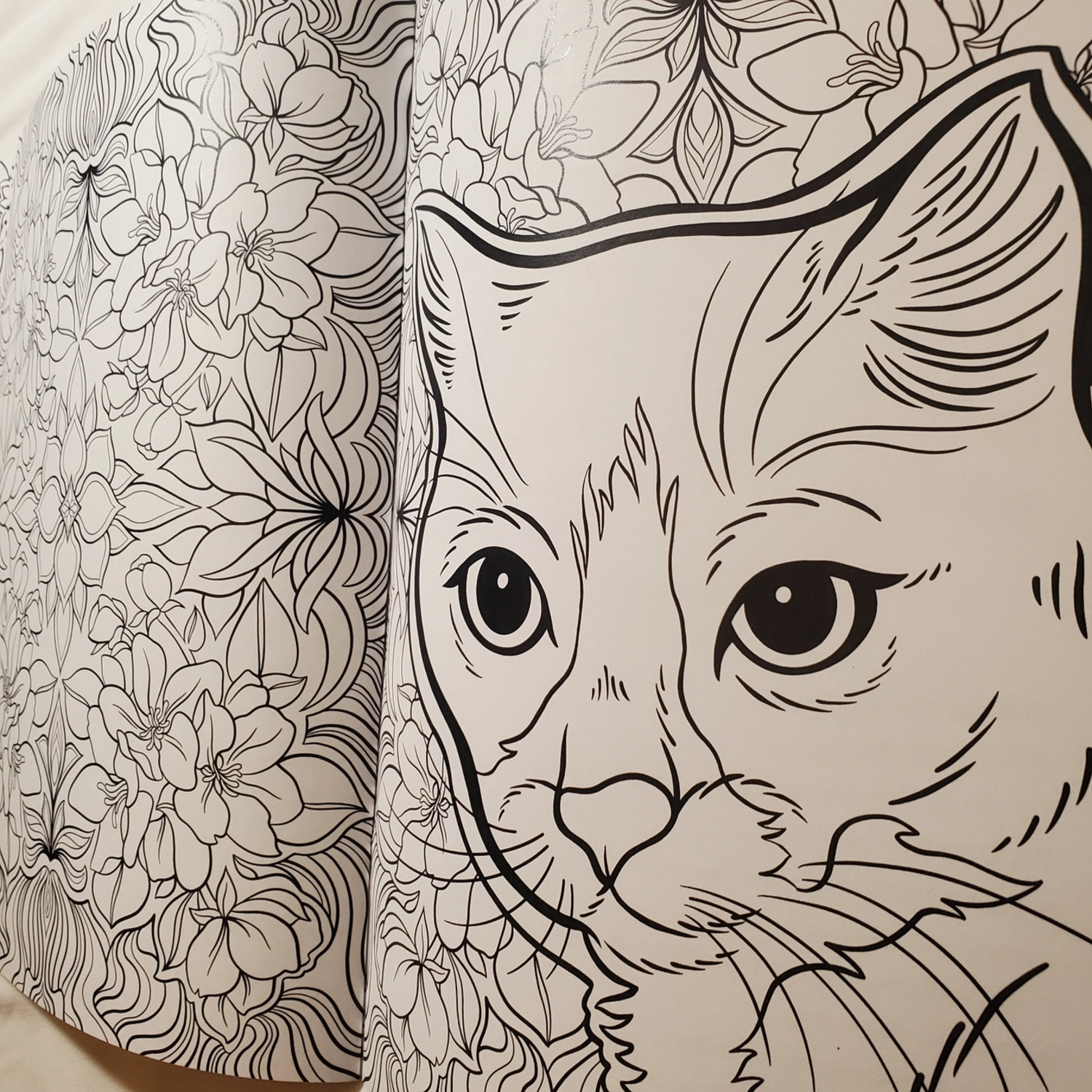 Coloring book cats plants