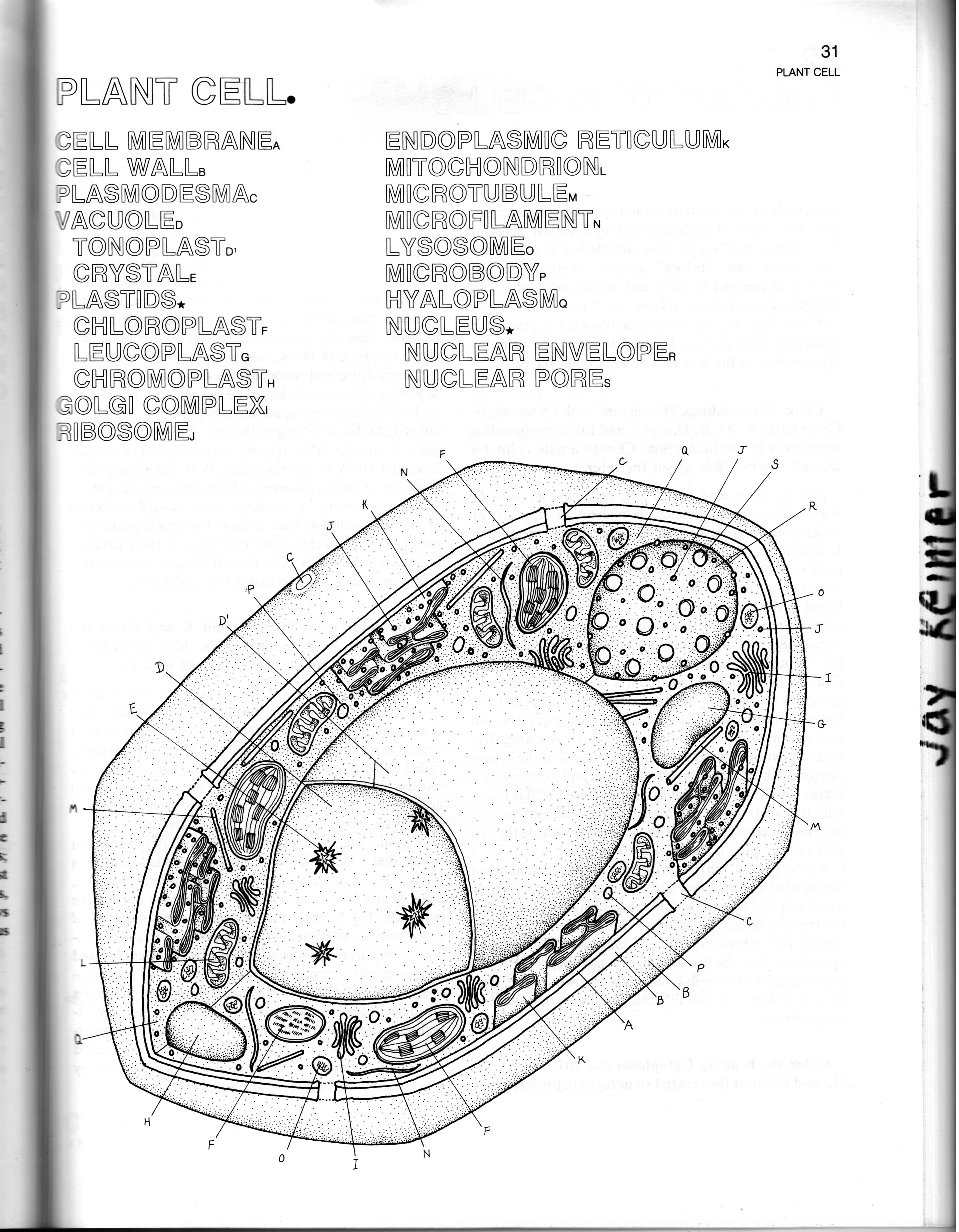 Biology cm