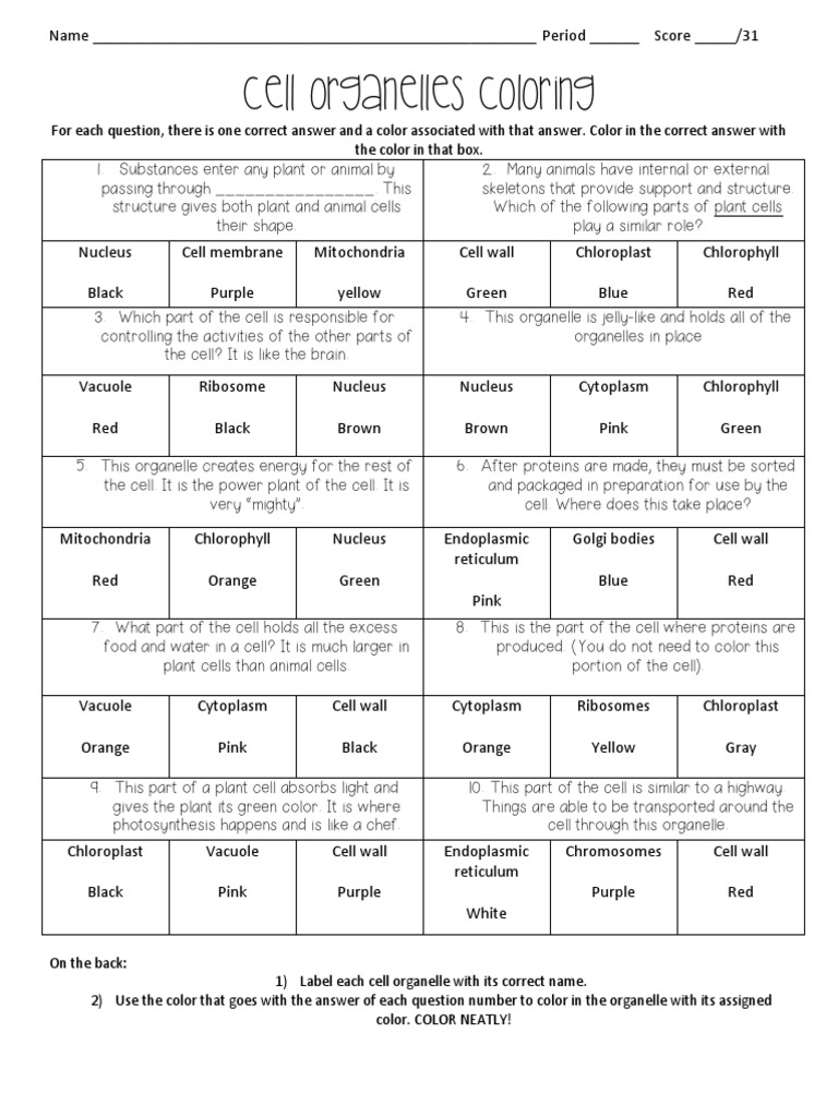 Cell organell coloring pdf cell biology endoplasmic reticulum