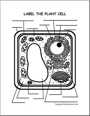 Interactive notebook science