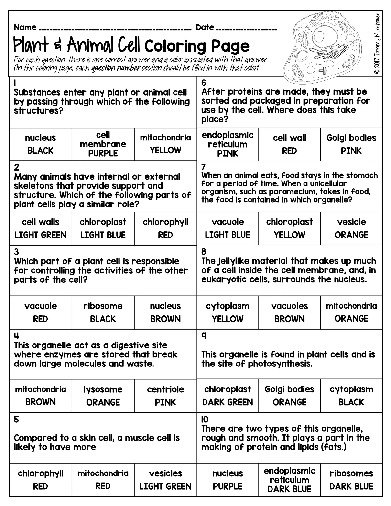 Cell organelles color by number interactive worksheet â