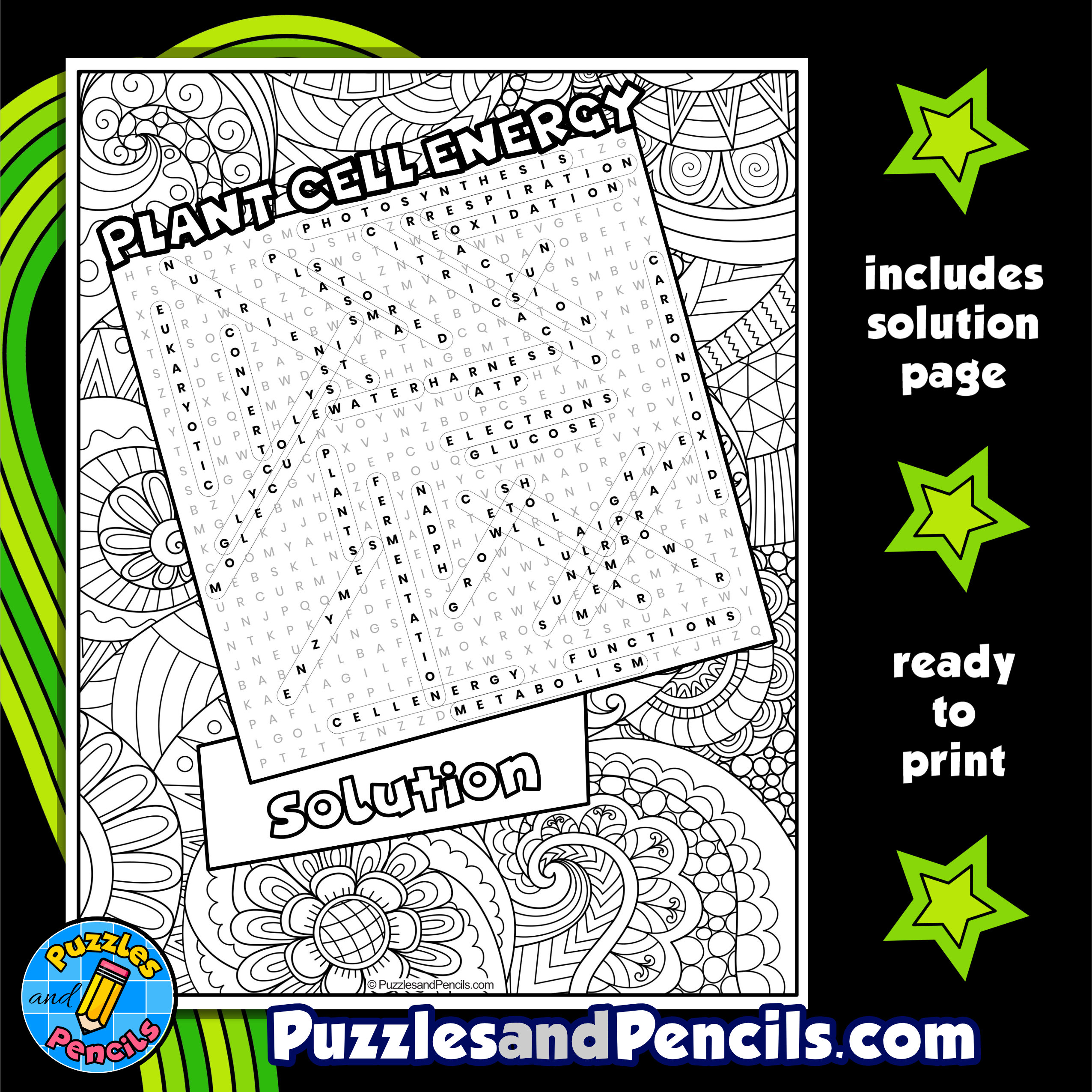 Plant cell energy word search puzzle with coloring plant biology wordsearch made by teachers
