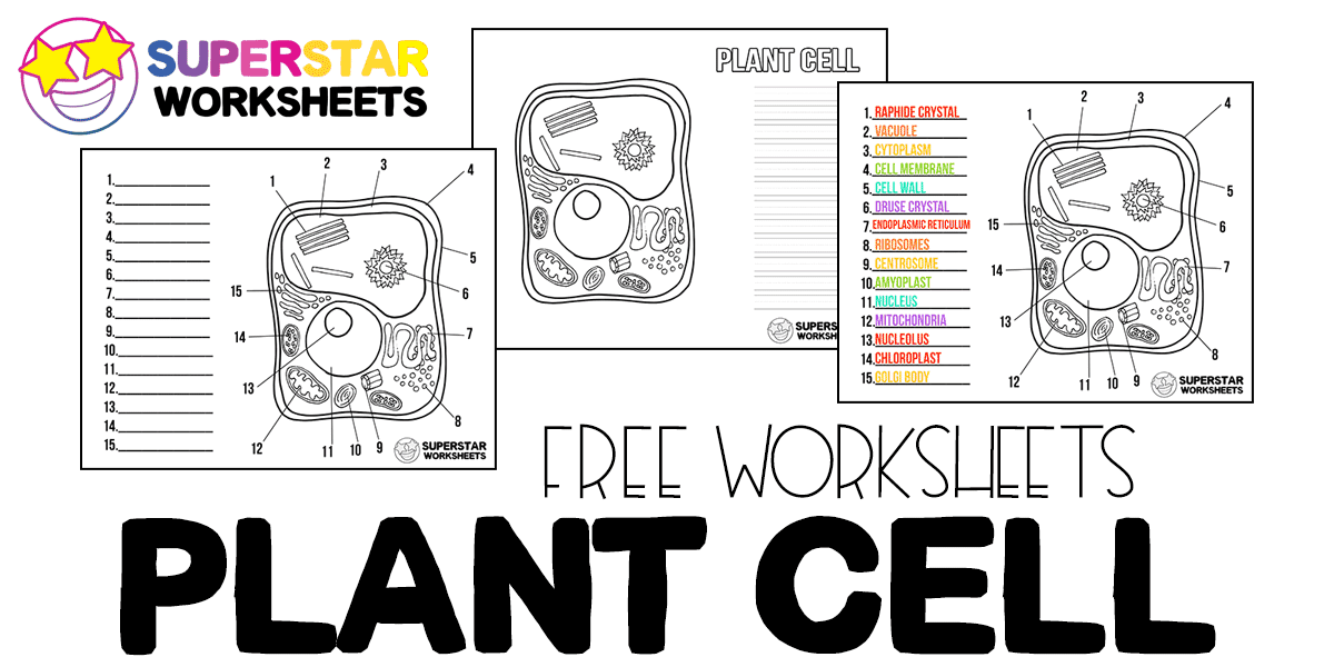 Plant cell worksheets