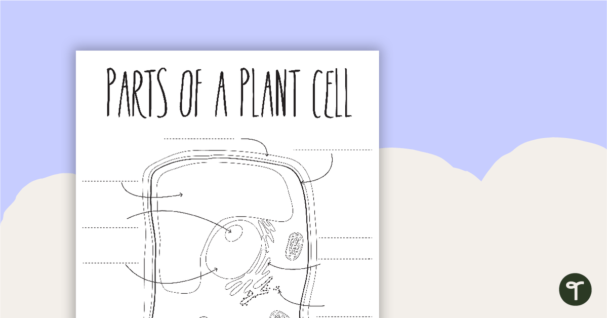 Parts of a plant cell