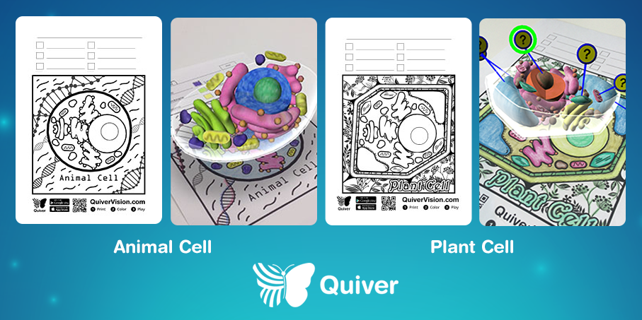 Quivervision on x our animal cell ar coloring page is a huge hit and the long awaited plant cell page is available now arlearning httpstcoteekcne x