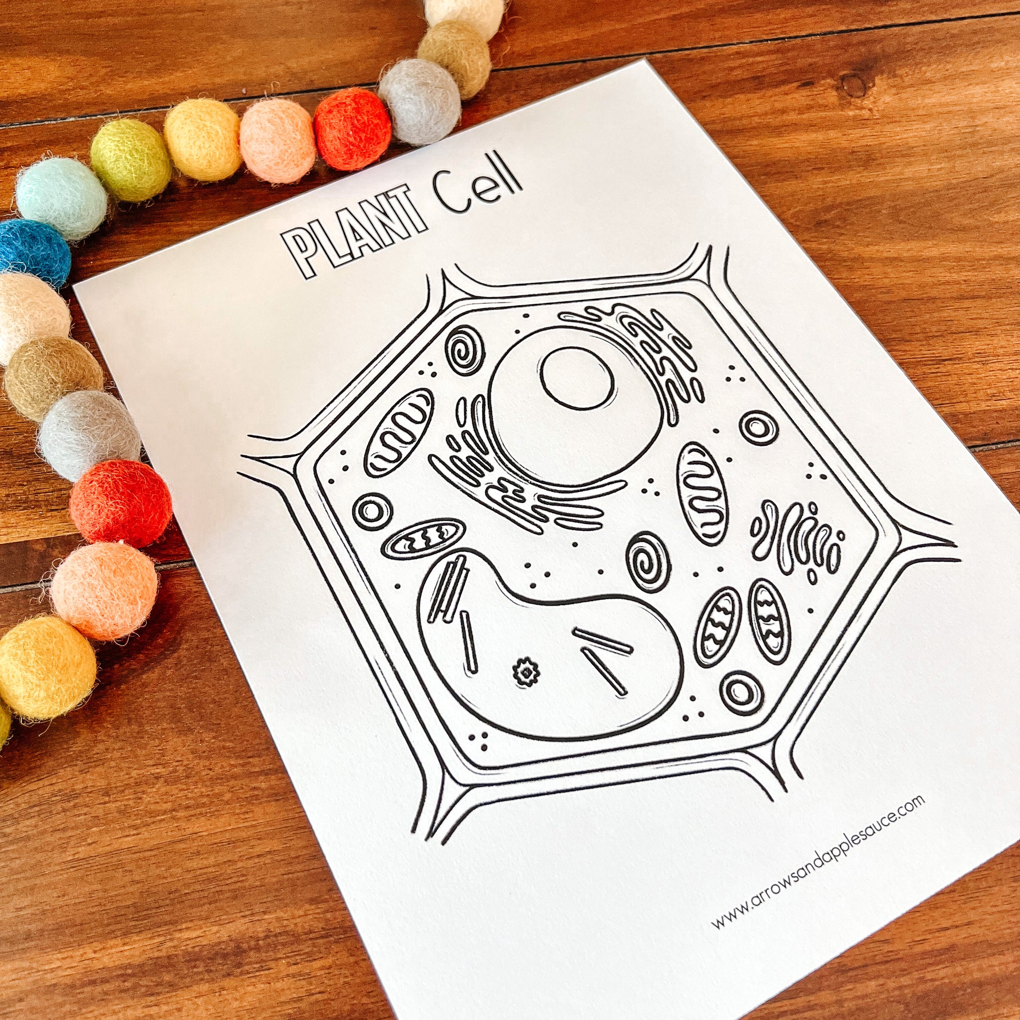 Plant cell printable activity set â arrows and applesauce