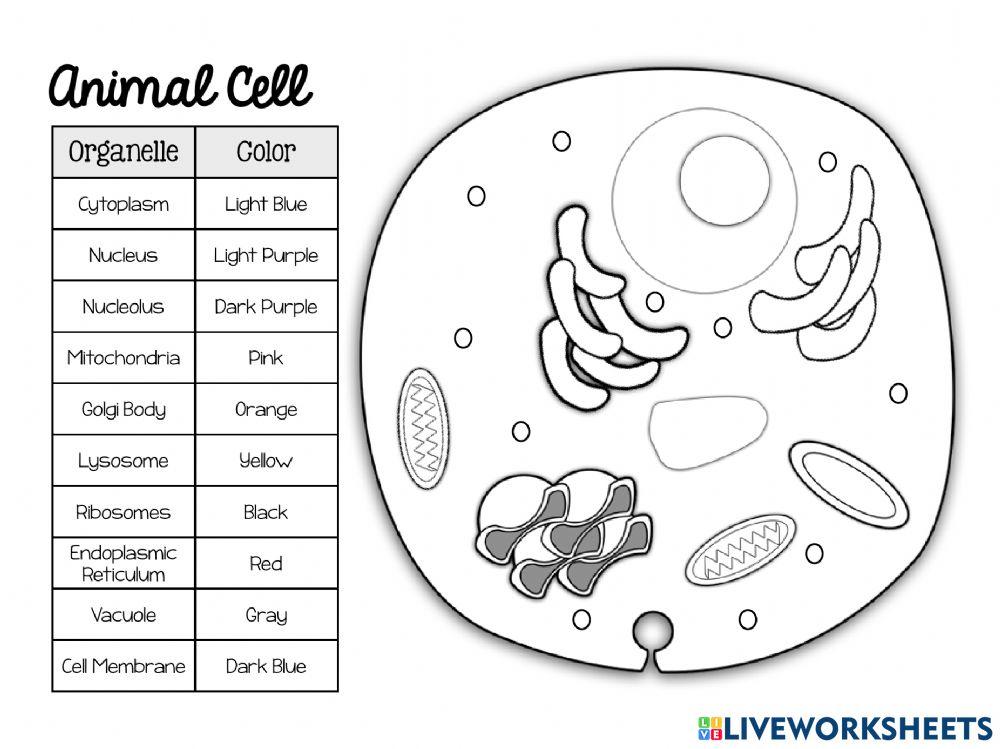 Cell coloring worksheet live worksheets