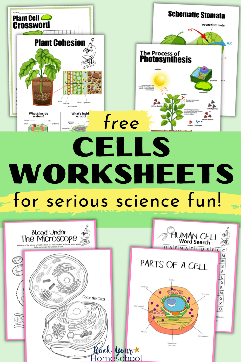 Free cells worksheets for super fun science activities for kids