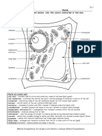 Plant cell color page worksheet and quiz ce pdf endoplasmic reticulum cell nucleus