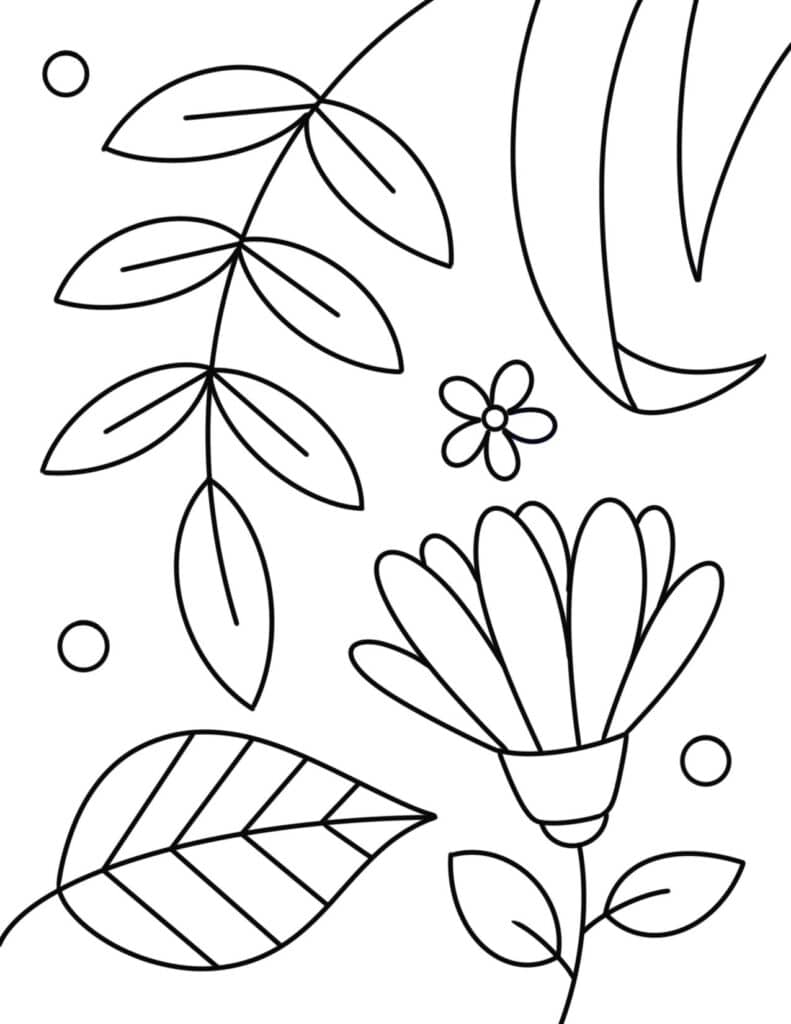 Free plant coloring pages â the hollydog blog