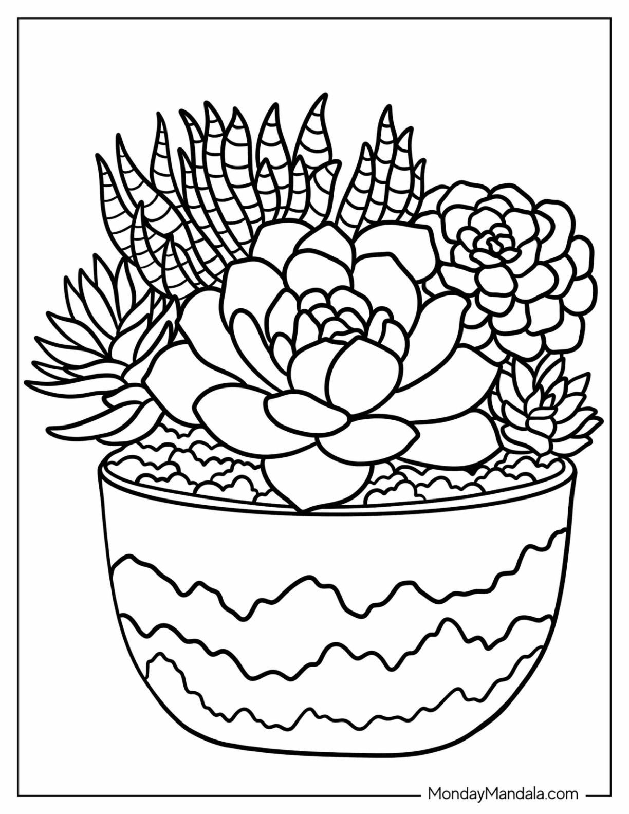 Succulent coloring pages free pdf printables