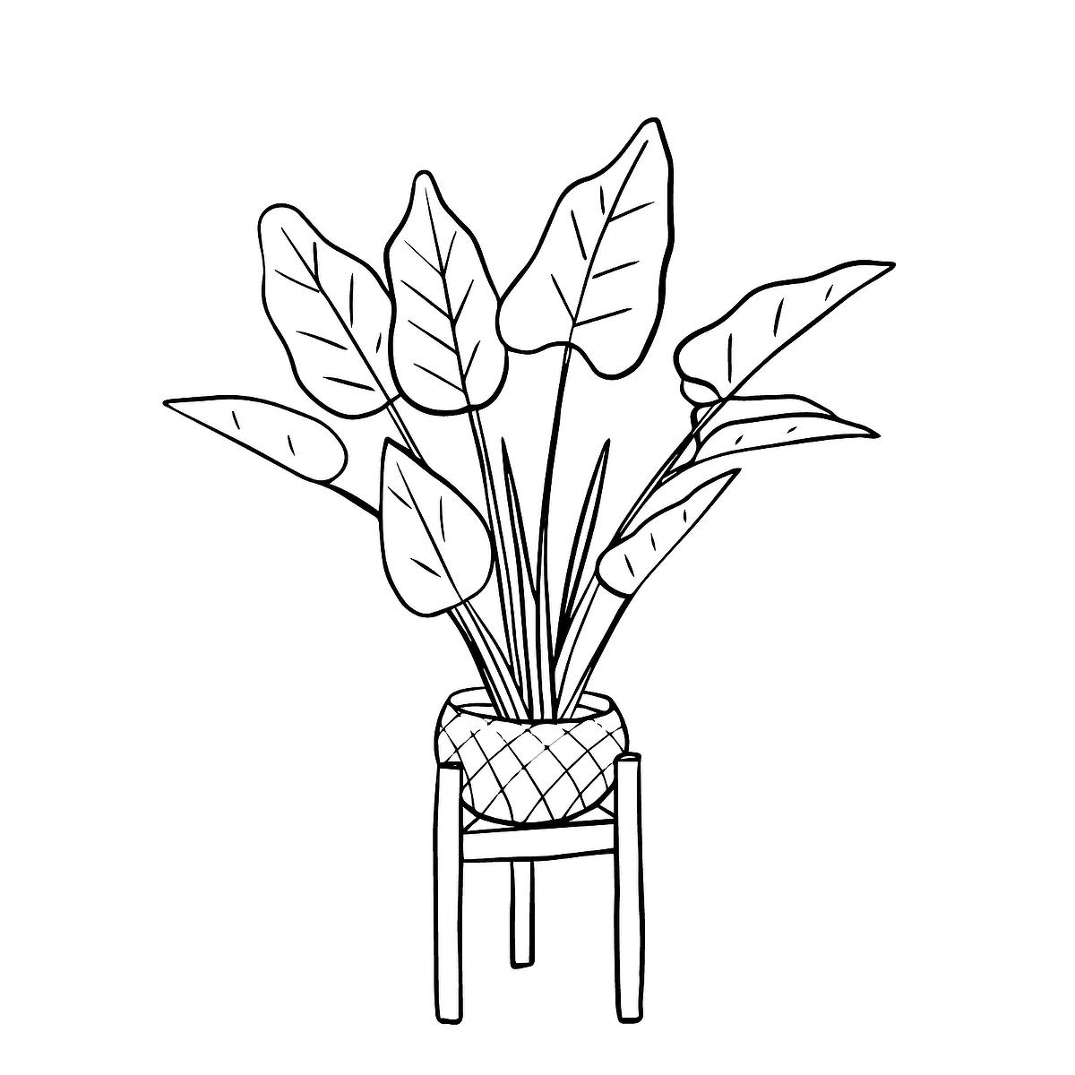 Houseplants coloring pages free printable coloring pages of plants for plant lovers printables mom